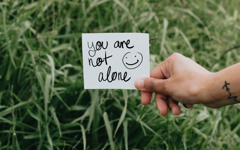 Mental Health Support by Counselors at iQLA